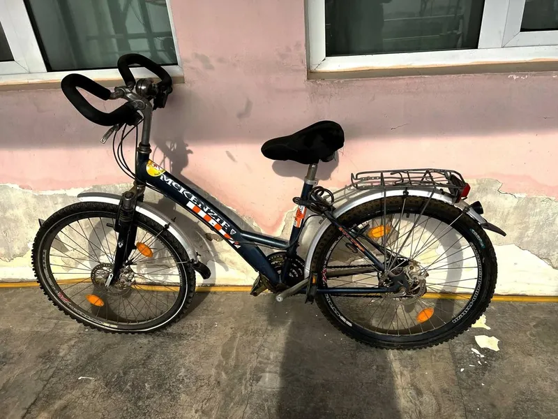 Velosiped kattalar uchun
