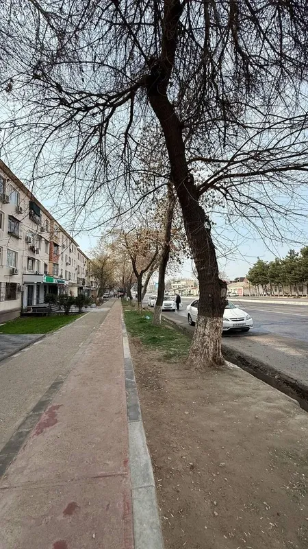 Продаётся нежилой помещение первая линия Чиланзар — фото 2