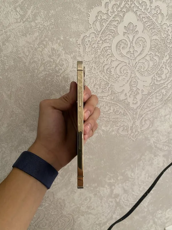 iphone 12 pro max холати идеал 3