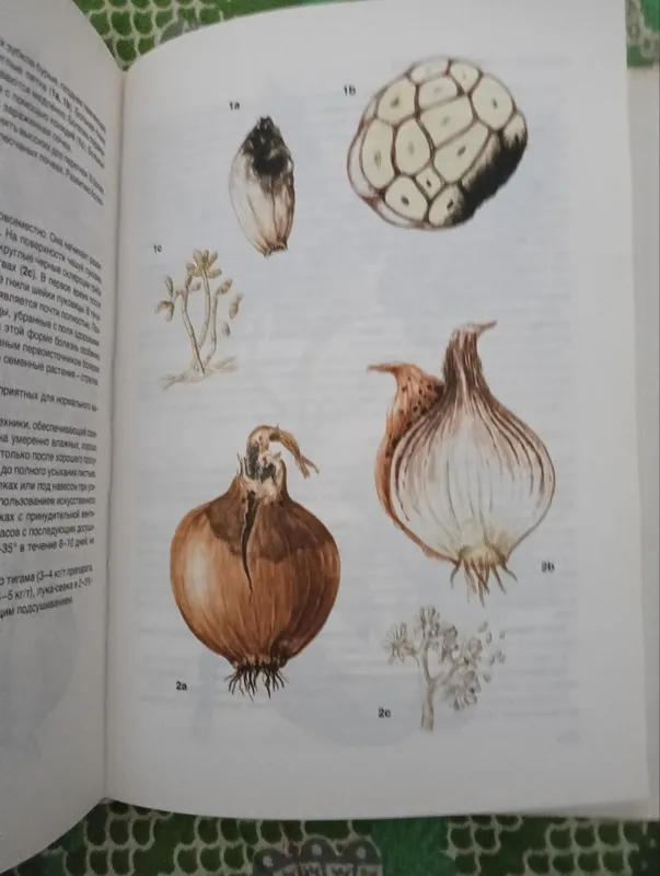 Книга атлас болезней и вредителей плодвых культур 3 Книга атлас болезней и вредителей плодвых культур 3