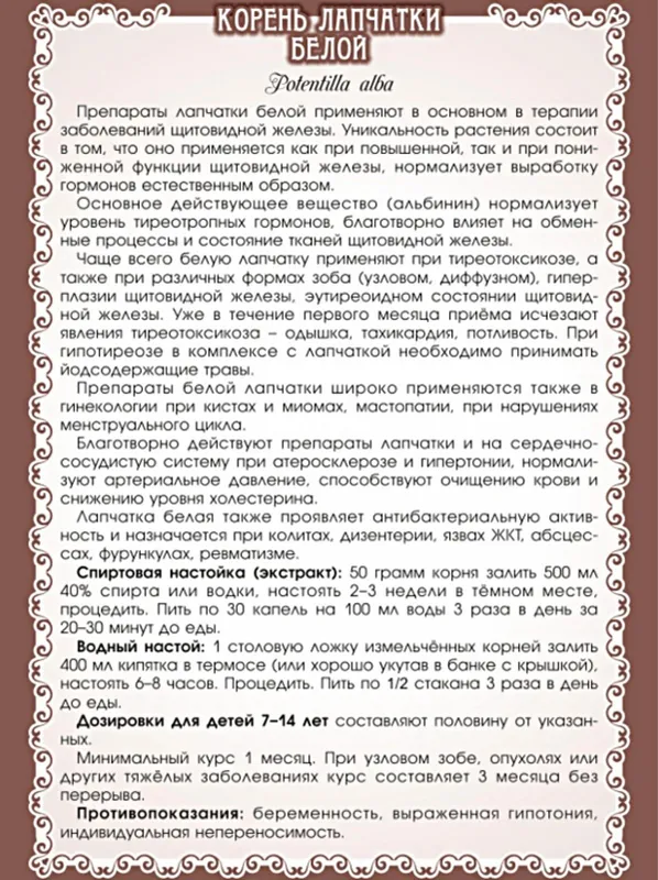 Лапчатка белая (корни) и (настойка) — фото 1