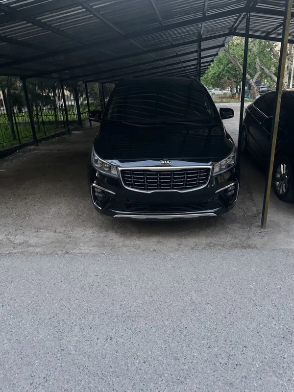 Поездка в горы, Экскурсии. Kia Carnival.