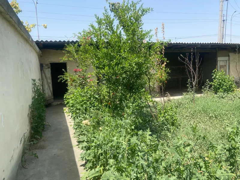 Продаю дом с участком — фото 5