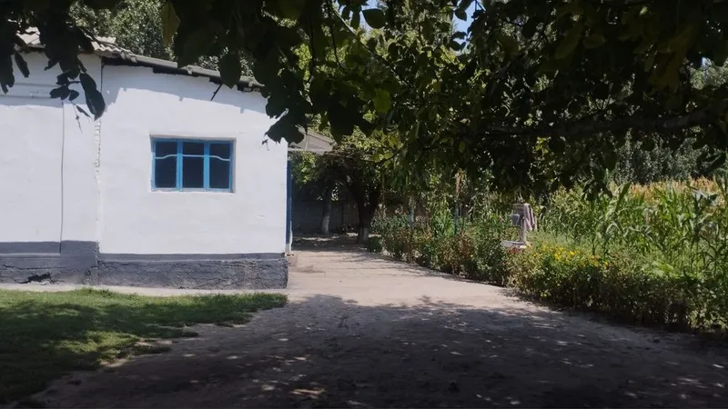 Уй сотилади 1 та Уй нархига 2 та уй зор уй зор нарх — фото 1