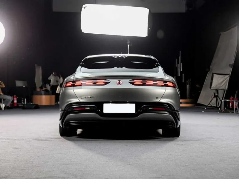 denza z9 gt pod zakaz