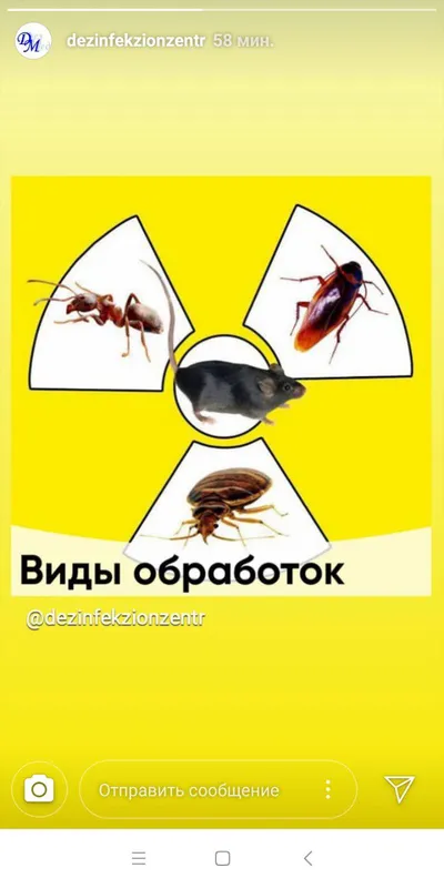 дезинфекция таракан клапа пашша чаён — фото 5 дезинфекция таракан клапа пашша чаён — фото 5