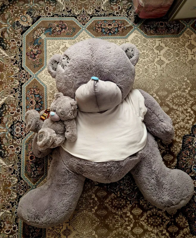 Teddy ayiq bonusiga 2 ta ayiq