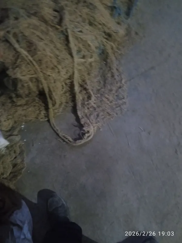 Holati yaxshi kelishiladi yilim