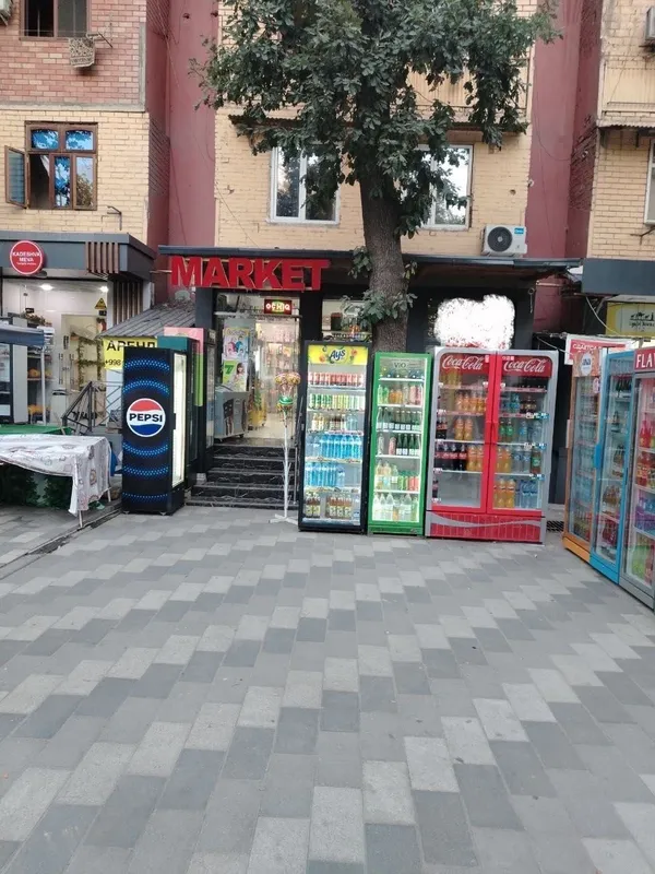 Лисунова Магазин под офис первая линия 1