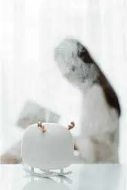 Sothing Deer Humidifier&Light mini havo namlagichi 3 Sothing Deer Humidifier&Light mini havo namlagichi 3