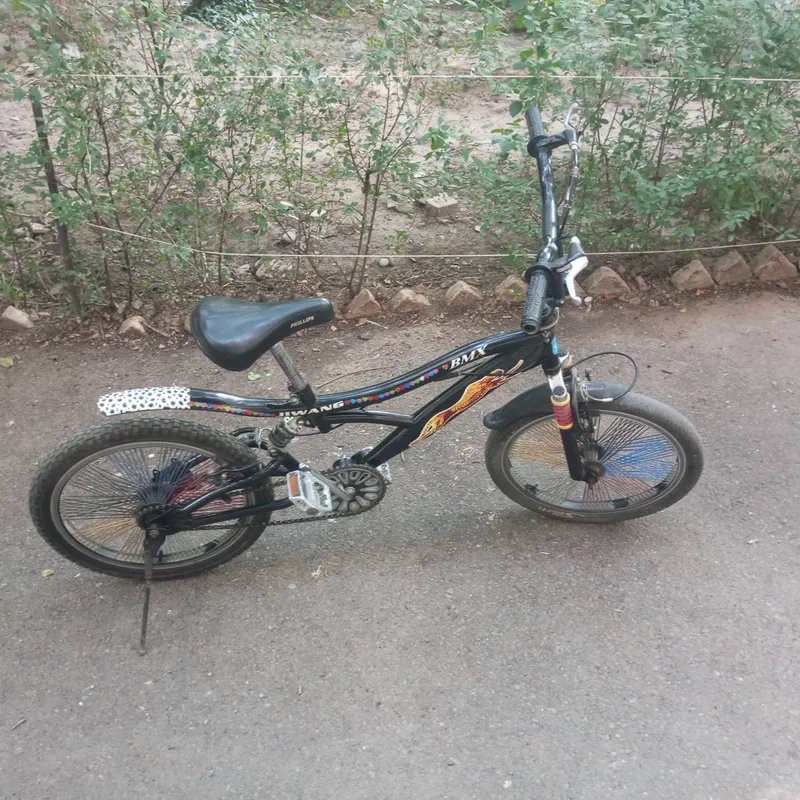 Velsepet BMX 20-talik bir sikorsnoy 3 Velsepet BMX 20-talik bir sikorsnoy 3
