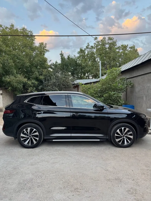 byd chempion 2024 5 byd chempion 2024 5