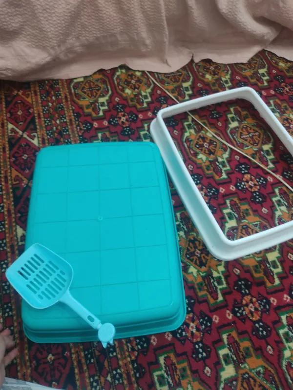mushuklar uchun lotok 2