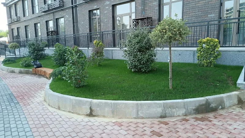 Газон экиш хизмати — фото 4