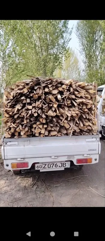 Продаётся лошадь