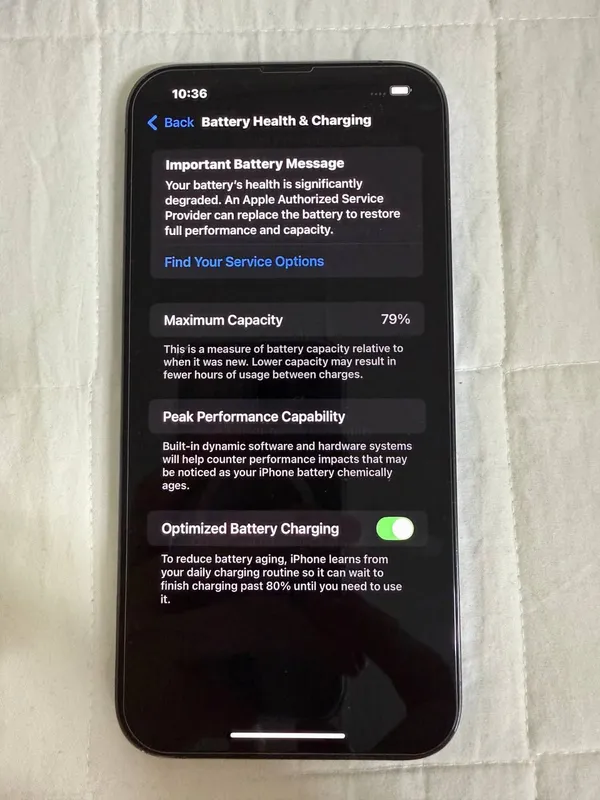 iphone 13 pro max 1