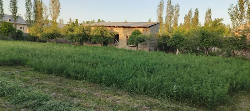 Samarqand viloyati Jomboy tumani uchastka — фото 2