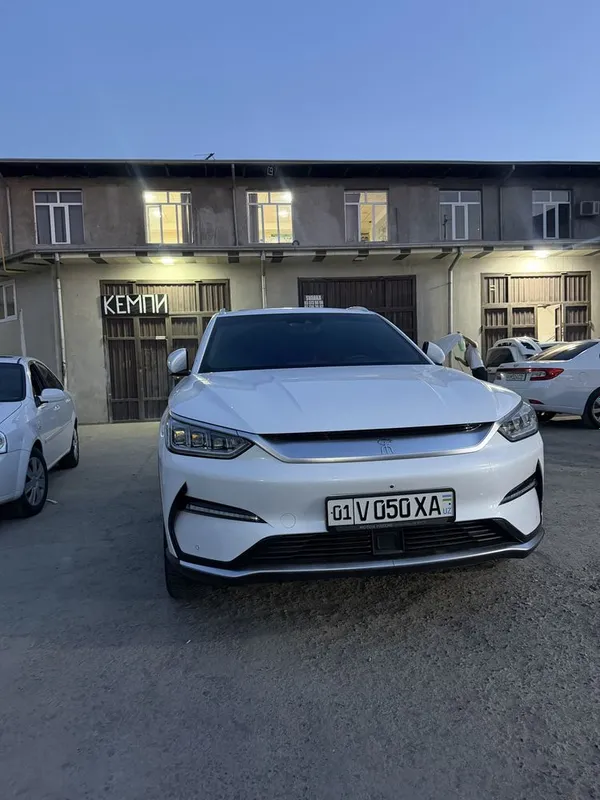 Bivaydi song plus elektr