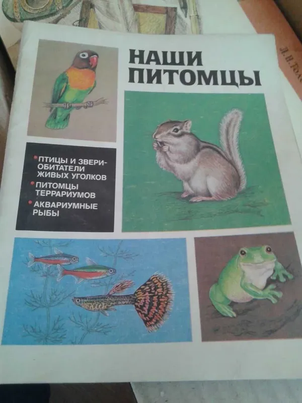 Мир книги джунглей Линдблад Ян Мир книги джунглей Линдблад Ян — фото 6