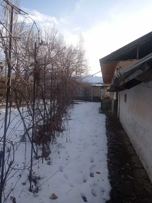 СРОЧНО! Продаётся Дача 14 соток - Паркентский район, Невич — фото 3