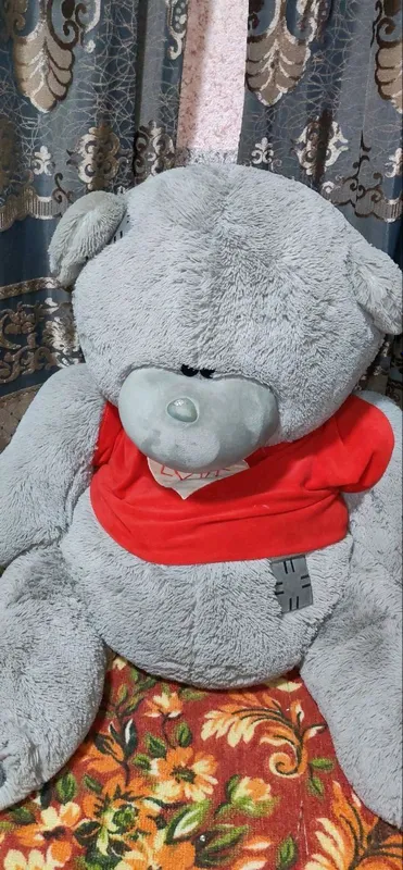 Teddy Yumshoq oʻyinchoq