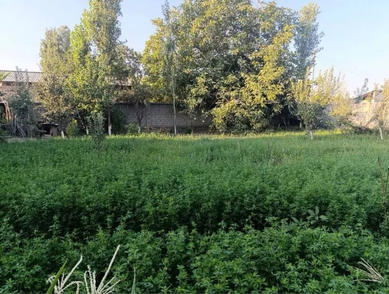 Продается земля 21 сот в элитной махалле 61м фасад Мирзо-Улугбекский р — фото 1