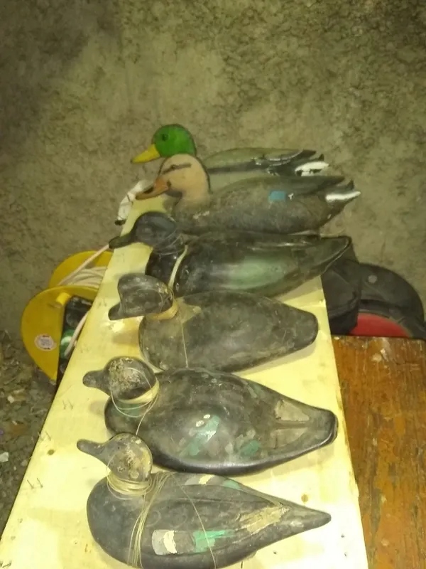 qayiqlar, ov uchun chuchalalar, qurol seyfi, gilzalar 8 qayiqlar, ov uchun chuchalalar, qurol seyfi, gilzalar 8