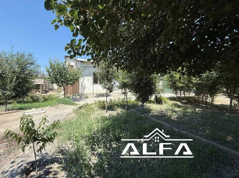 tayyor 8.5 sotiqli hovli sotiladi #a897 5