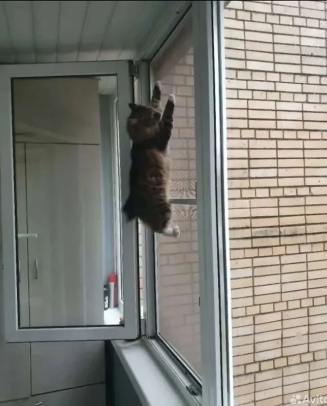 москитные сетки.