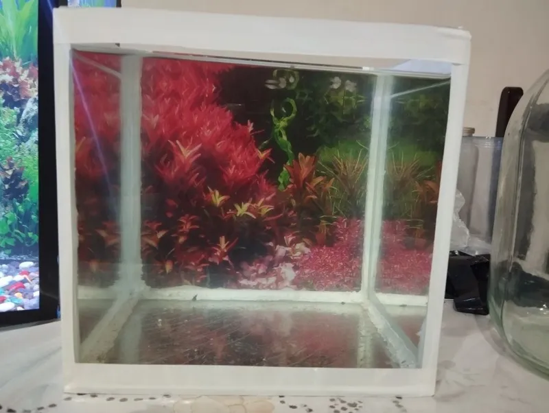 Akvarium sotiladi