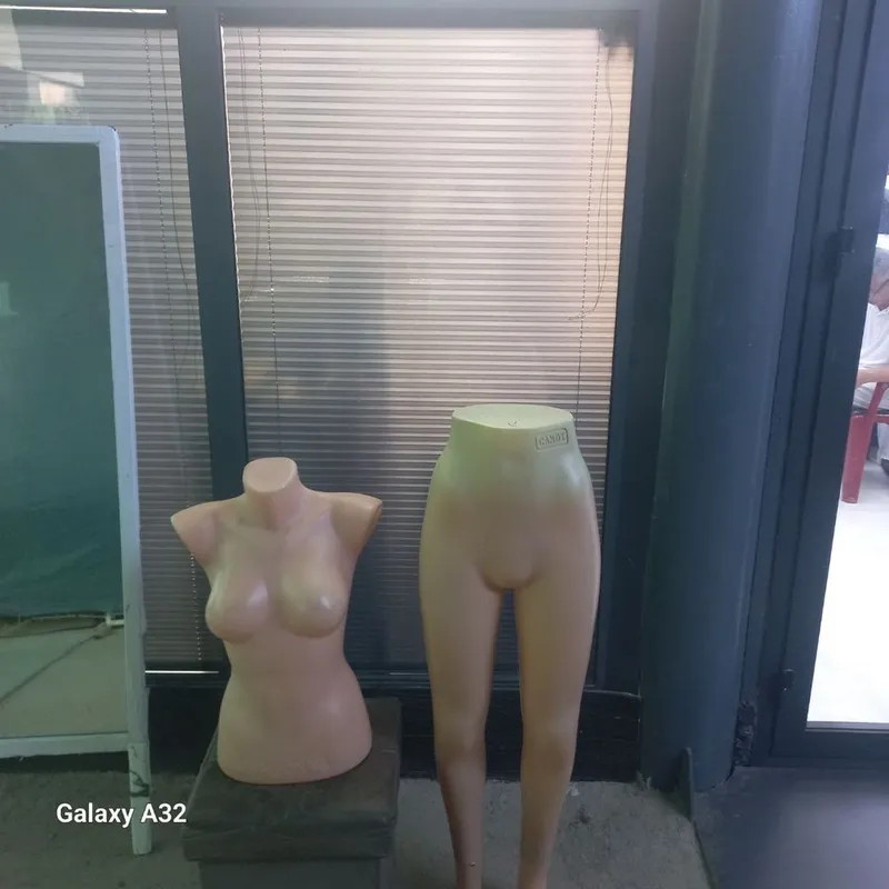 Manikin sotiladi