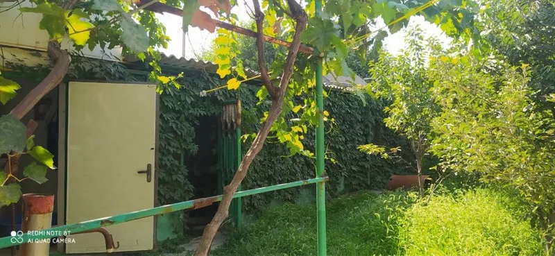 Продаеться дача на янги узбекистан — фото 4