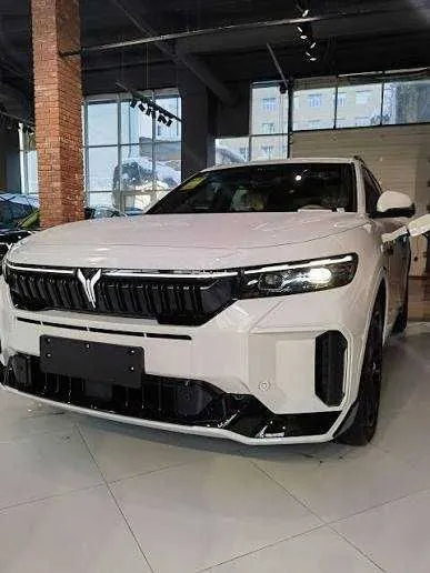 Voyah Free 318km 202434 AWD Naxt va Halol nasiya savdo 1 Voyah Free 318km 202434 AWD Naxt va Halol nasiya savdo 1
