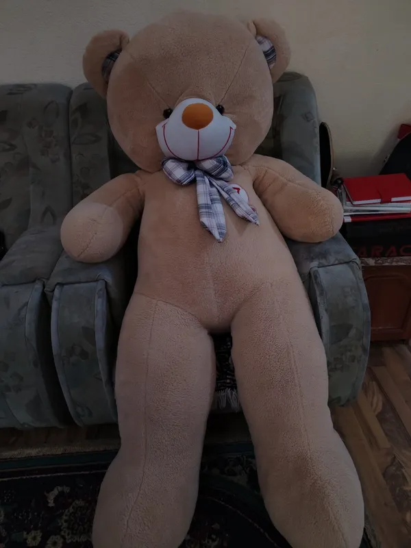 Teddy 2