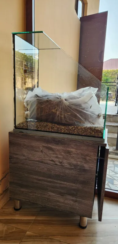 Akvariumlar keng assortimentda 5 Akvariumlar keng assortimentda 5