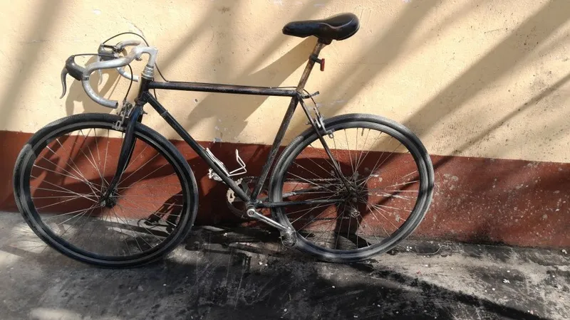Sport velosiped