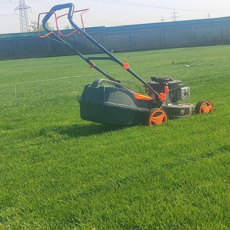 Gazon yotqizamiz lanshaft hizmati ,agro doktr bor