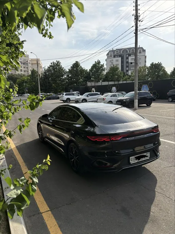 Byd han 2023 yil dual mator — фото 2