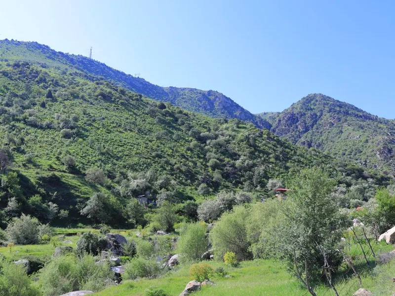 Mehmon uyi, hostel, dam olish maskani, hotel, kunlik ijara uy,
