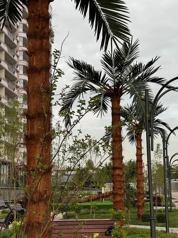 Декоративные пальмы palma — для дома, дача ,кафе — фото 2