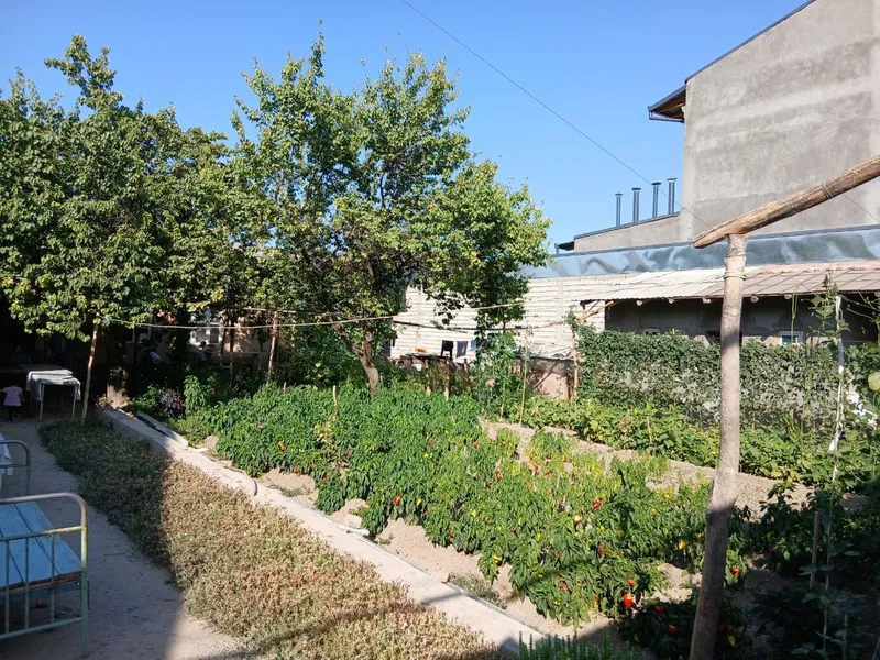 Toshkent viloyat Qibray tumani yakka chop 7 tor kocha 9 uy — фото 1