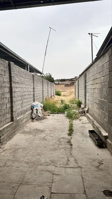 Keles olmazor kochada tezlik bilan yer sotiladi — фото 5