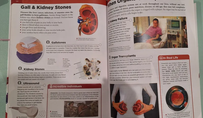 Knowledge Encyclopedia " HUMAN BODY" — фото 2