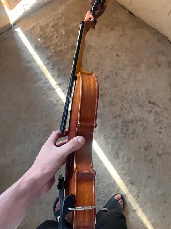 Skripka 6