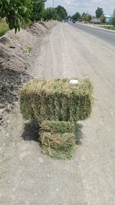 Беда пресс сифати зур