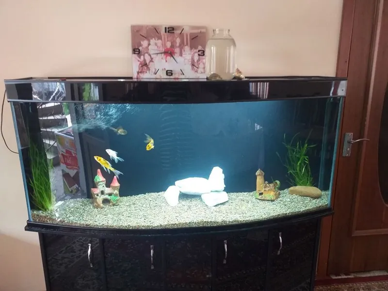 Akvarium 500litr 1