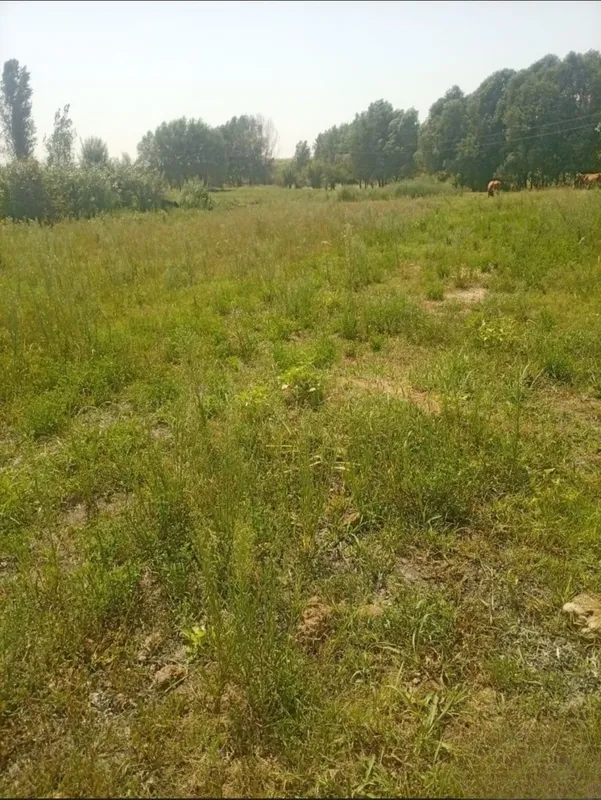 Srochniy Yer sotiladi 3 Srochniy Yer sotiladi 3