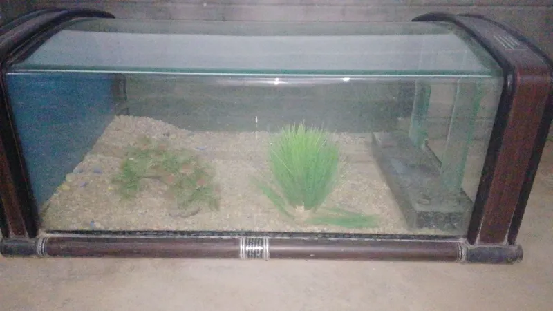 Akvarium sotiladi 5 Akvarium sotiladi 5