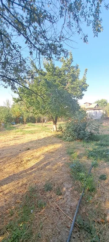 Дача 6 соток Новбахор рядом Янгибазар Паркент Джумабазар — фото 1