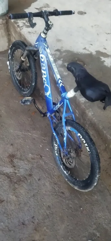 Velosiped sotiladi 1